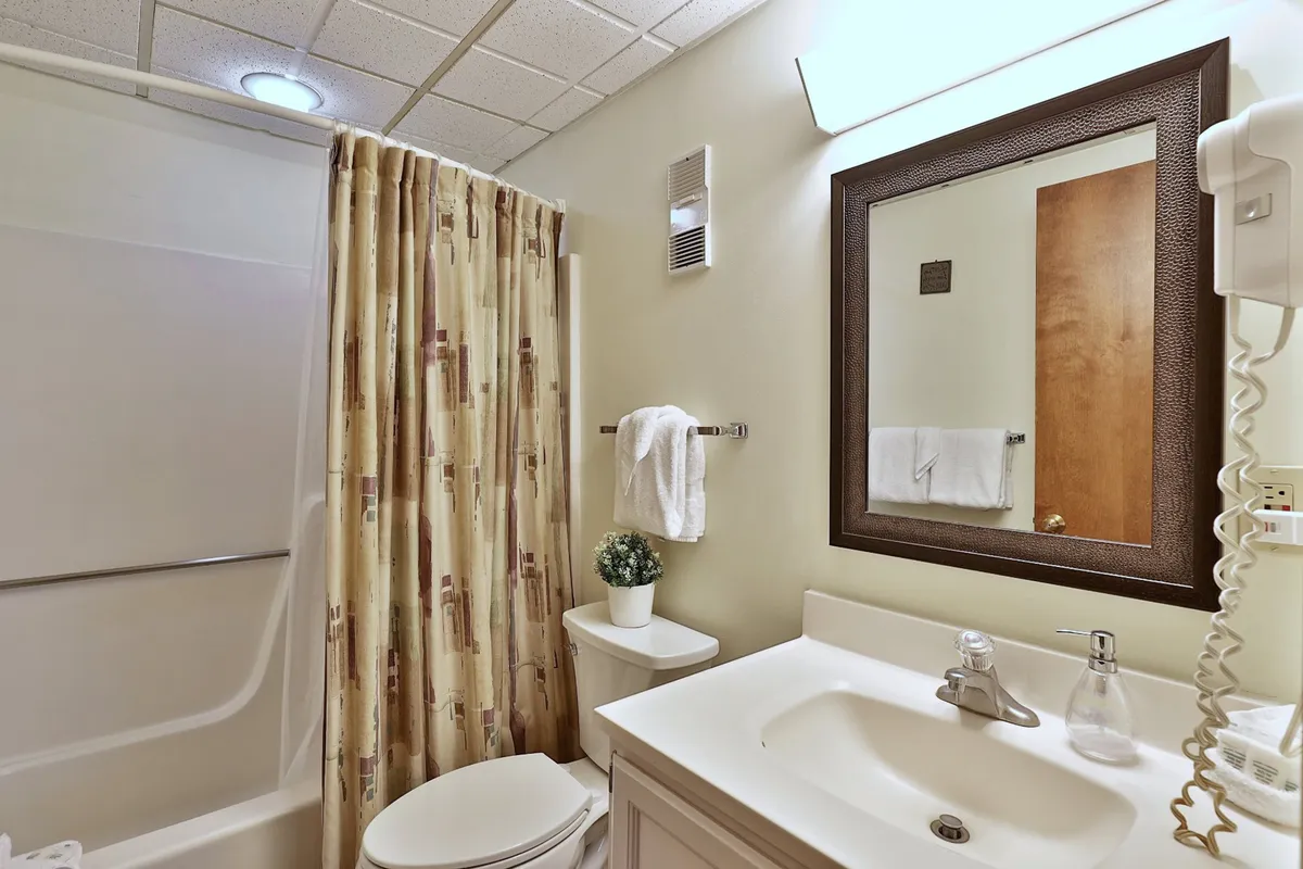 A modern bathroom with a vanity and sink, large mirror, toilet, shower area, and a decorative plant. The space feels fresh and organized, ideal for morning routines or winding down after a day of activities.